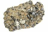Lustrous Cassiterite Crystals On Quartz - Viloco Mine, Bolivia #209603-2